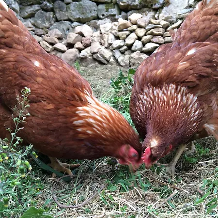 Turistico La Casa Del Paramo Hostel *