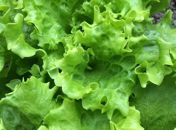 Turistico La Casa Del Paramo Hostel