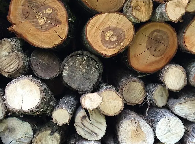 Hostel Turistico La Casa Del Paramo *