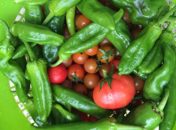 Turistico La Casa Del Paramo Hostel