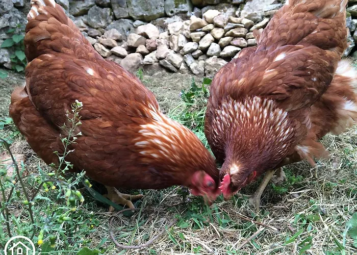 Turistico La Casa Del Paramo Hostel *